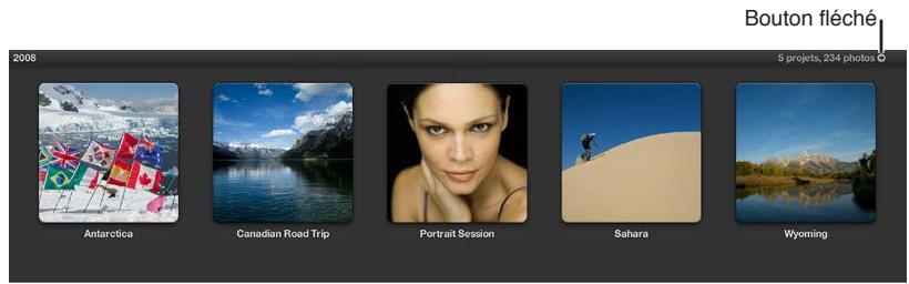 APPLE APERTURE 3.3 - Pour régler la présentation Projets afin d'afficher une seule année ou un seul dossier de projets - 1