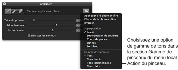 APPLE APERTURE 3.3 - Pour limiter un ajustement au pinceau à une plage tonale spécifique - 1