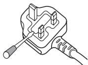 PIONEER DJM-5000 - IMPORTANT: THE MOULDED PLUG - 1