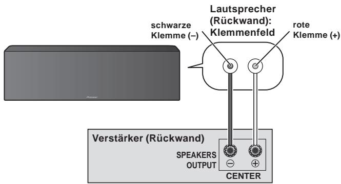 PIONEER S-81C-K - Anschlüsse - 1