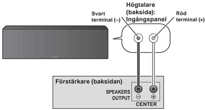 PIONEER S-81C-K - Anslutningar - 1