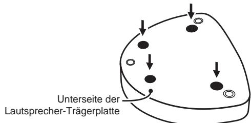 PIONEER S-81C-K - Verwendung der rutschfesten Kissen - 1