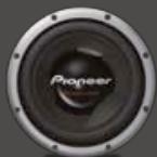 PIONEER TS-170CI - SUBWOOFERS - 5