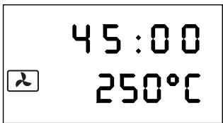 45:00 250°C