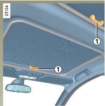 RENAULT CLIO 3 PHASE 1 - TOIT OUVRANT À COMMANDE ÉLECTRIQUE - 1