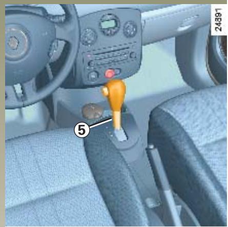 RENAULT CLIO 3 PHASE 1 - Cas particuliers - 1