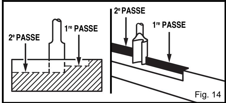 RYOBI RE170VS - TOUPILLAGE - 2