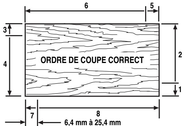 RYOBI RE170VS - FRAISAGE DE CHANTÀ L'AIDE DE FERS AVEC GUIDE - 3