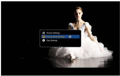 BENQ GP10 - Menu des réglages auto du lecteur vidéo - 1