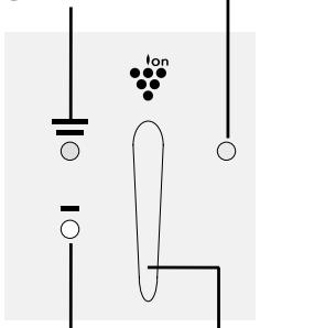Ion