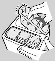 SHARP IG-A10EU - Roosters - 1
