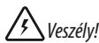DELONGHI VVX1660 DUAL VAP - Az utmutatóban hasznalt jelzelek - 1