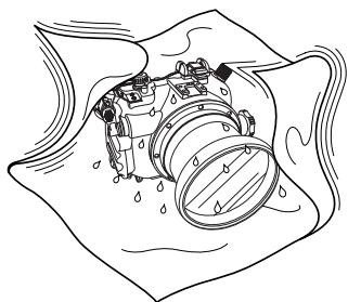 OLYMPUS PT-E02 - Essuyer toutegoutted'eau. - 1