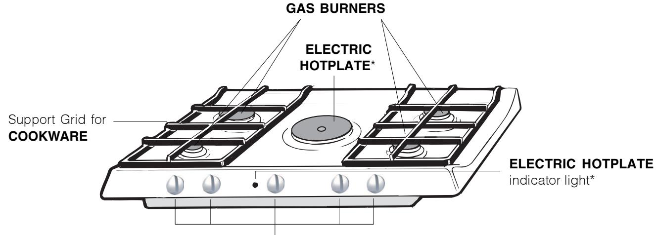 INDESIT PIM740AS - Adapting to different types of gas - 7