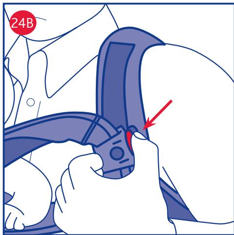 24B