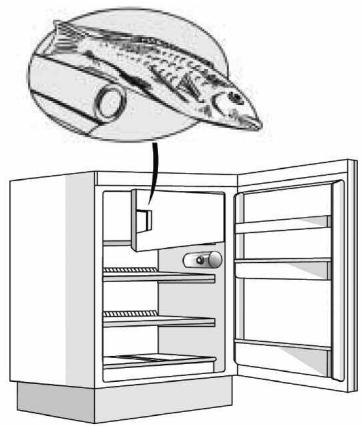 HOTPOINT BCB 7030 E C AA - Ledo kubeliu paruosimas - 1