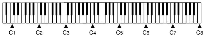 CASIO CELVIANO AP-33 - ATTENTION - 3