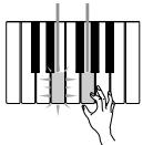 CASIO LK-300TV - Série de notes à la même hauteur - 5
