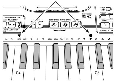 CASIO LK-300TV - Utilisation des autocollants de position du clavier - 1