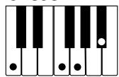 CASIO LK-300TV - REMARQUE - 11