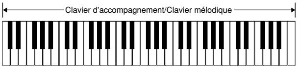 CASIO LK-300TV - FULL RANGE CHORD - 1