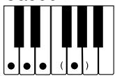 CASIO LK-300TV - REMARQUE - 12