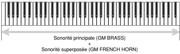 CASIO WK-3300 - SUPERPOSITION - 1