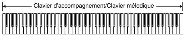 CASIO WK-3300 - Clavier d'accompagnement et clavier mélodique FULL RANGE CHORD - 2