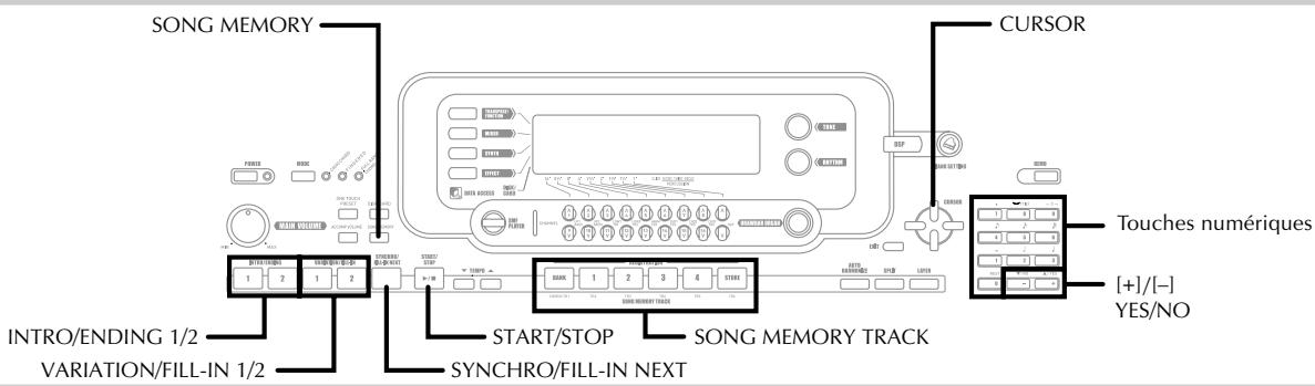 CASIO WK-3300 - Opérations de base - 2