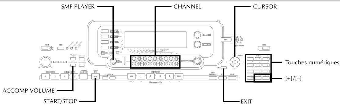 CASIO WK-3300 - IMPORTANT! - 2