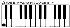CASIO WK-3300 - Types d'accords - 1