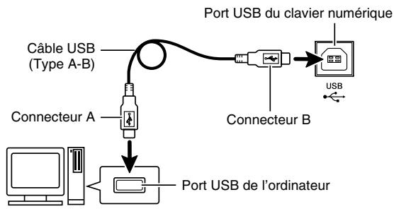 CASIO WK-500 - ÀpRES avoir mis en marche votre ordinateur, raccordez-le au clavier numérique avec un cable USB du commerce. - 1