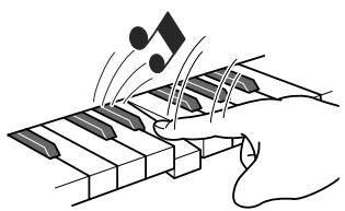 CASIO WK-500 - La souplesse d'un piano acoustique - 1