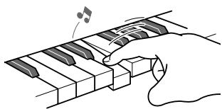 CASIO WK-500 - La souplesse d'un piano acoustique - 2