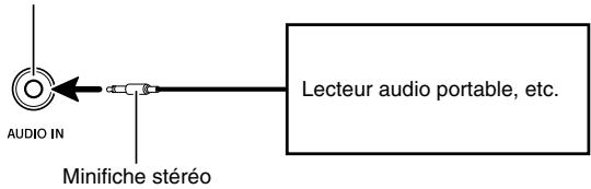 CASIO WK-500 - IMPORTANT! - 1