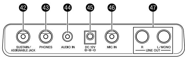CASIO WK-500 - Accessoires vendus séparément - 3