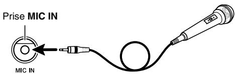 CASIO WK-500 - IMPORTANT！ - 1