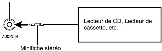 CASIO WK-500 - IMPORTANT！ - 2