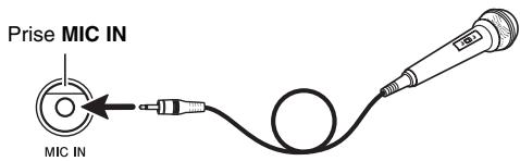 CASIO LK-230 - Raccordement - 1