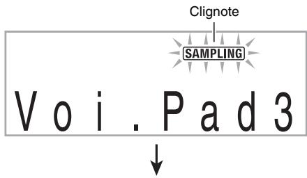 CASIO LK-230 - Tout en tenant enfoncé, appuyez sur le voice pad (13, 19 ou 20) correspondant au numéro de sonorité auquel vous voulez affecter le son. - 1