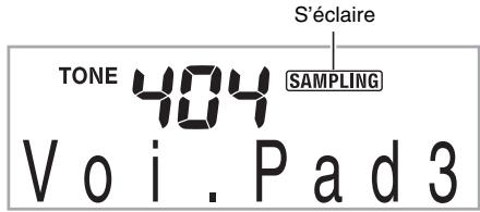 CASIO LK-230 - Fournissez le son au microphone. - 1