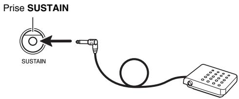 CASIO LK-230 - Raccordement d'un bloc pédale - 1