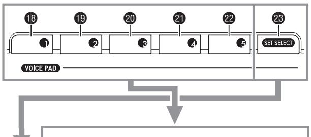 CASIO LK-230 - Appuyez sur un pad (1 à 5, 18 à 22) pour écouter les sons qu'il contient. - 1