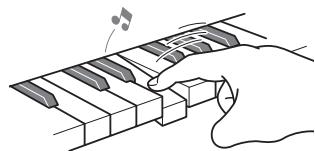 CASIO LK-230 - La souplesse d'un piano acoustique - 2