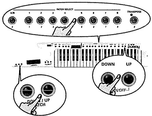 A/B 1 2 3 4 5 6 7 8 PATCH SELECT TRANPOSE DOWN UP N/OFF DOV UP ATCH