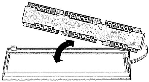 Roland Roland Roland Puejok Puejok Puejok