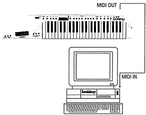 MIDI OUT CD/DVD MIDI IN