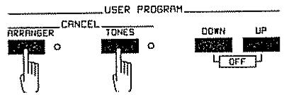 ROLAND E-70 - USER PROGRAM DISABLING - 1