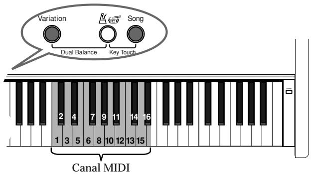 Variation Dual Balance Key Touch Song 2 4 7 9 11 14 16 1 3 5 6 8 10 12 13 15 Canal MIDI
