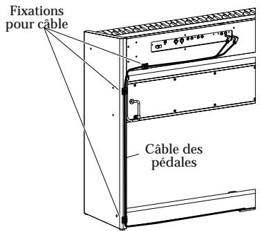 Fixations pour cable Câble des pédales